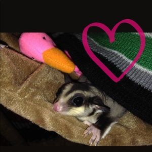 Meet your Posher, Brianna